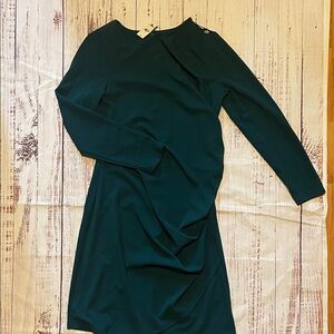 Express Forest Green Long Sleeve Draped Dress